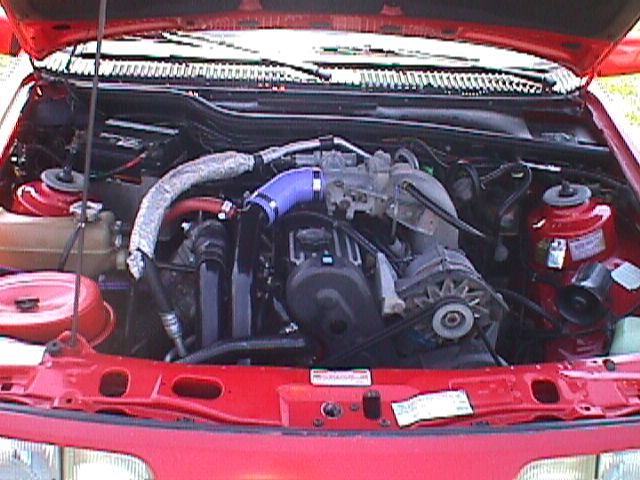 87 chris senior.jpg