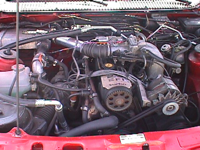 87 don haulsee (e).jpg