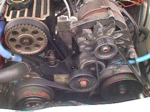 88 brad anesi (belt).jpg