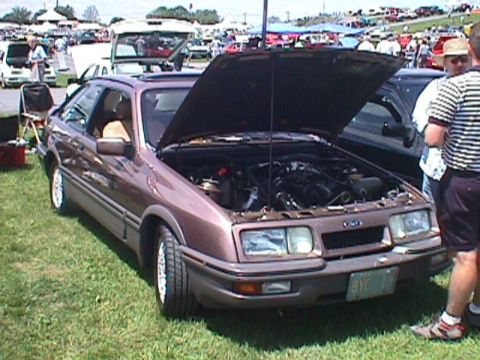 8_ pink (grille).jpg