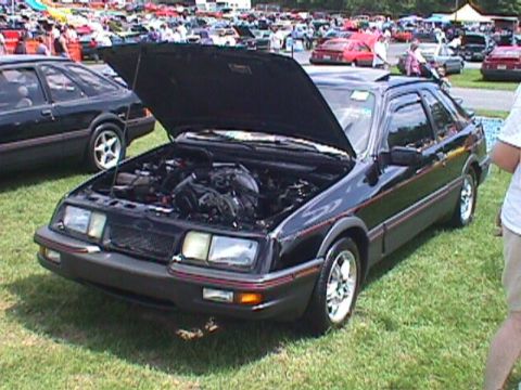 8_ unknown08.jpg