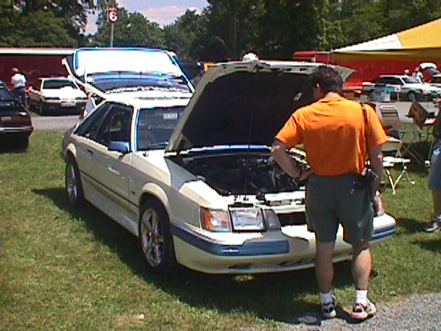 svo mustang.jpg