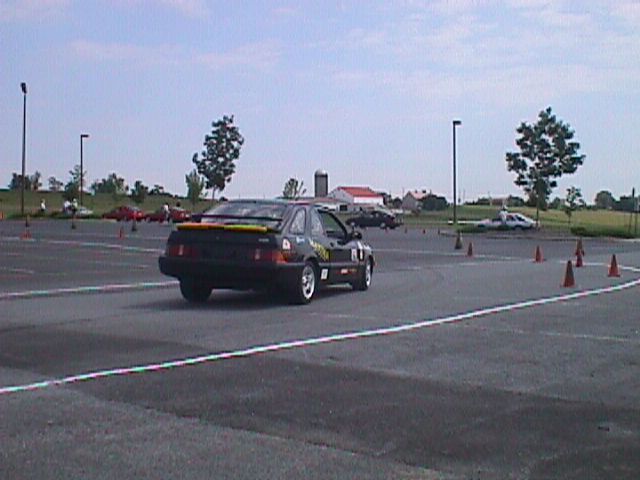 autox dom maggi (2).jpg