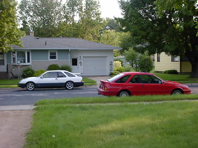 P5310804.JPG