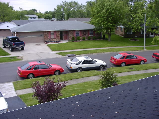 P5310828.JPG