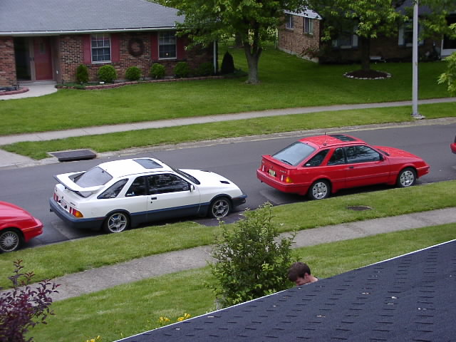 P5310829.JPG