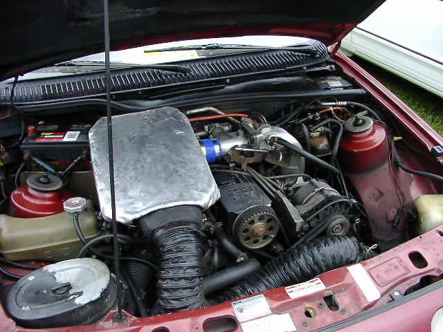 P6020884.JPG
