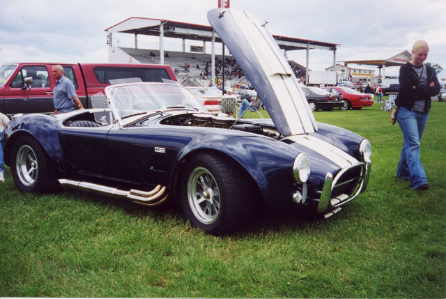 cobra1.jpg