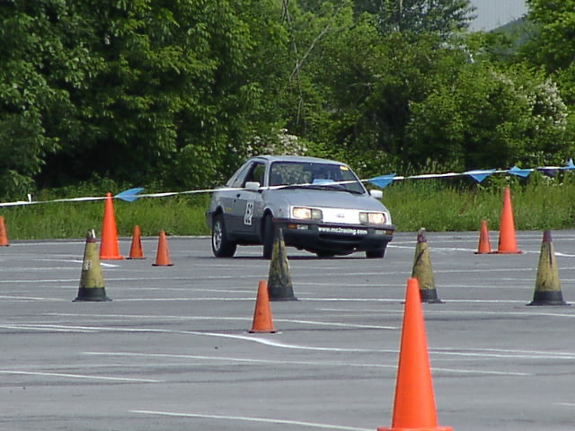 P6031004.JPG