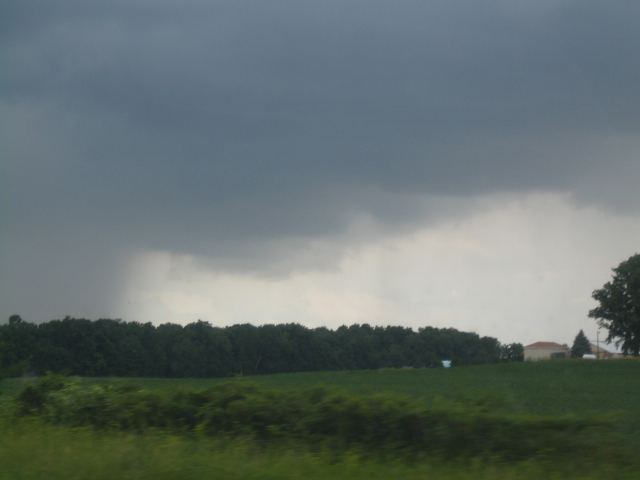 IMG_1557.jpg